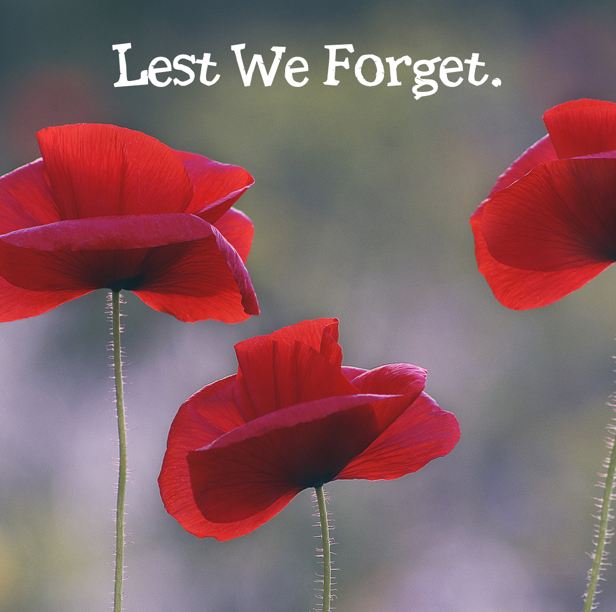 ANZAC DAY – LEST WE FORGET - Burrito Bar | Mexican Restaurant & Bar